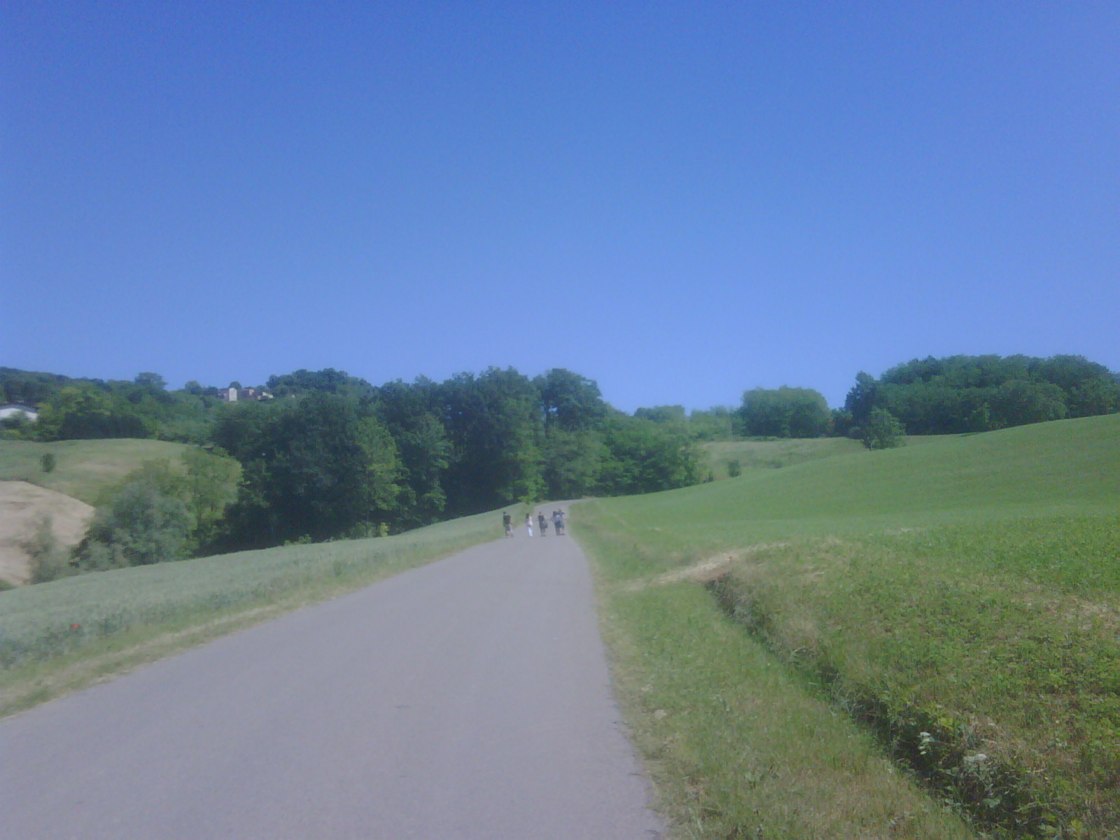 IMG02102-20100602-1618